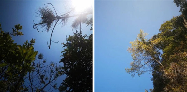 廣東博皓 博行天下丨虎年第一爬，挑戰從化老虎頭   -1