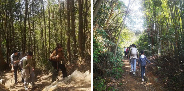 廣東博皓 博行天下丨虎年第一爬，挑戰從化老虎頭   -2