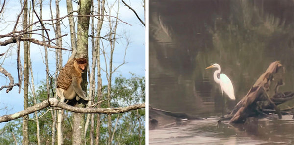 廿載風云一路行，馬來風情共見證&mdash;&mdash;2024廣東博皓馬來西亞之旅   -13