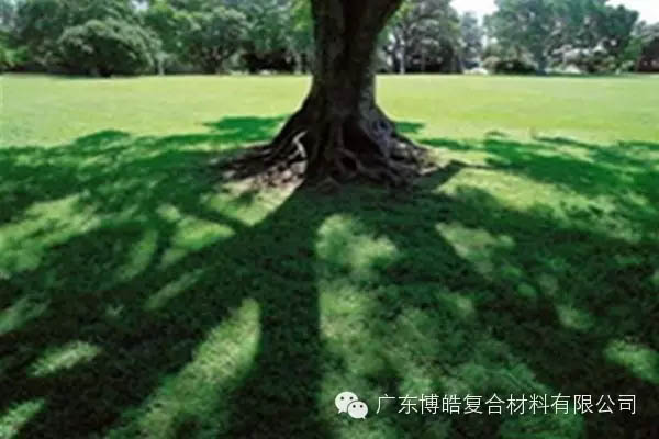 【博皓感悟】欲為大樹，莫與草爭-6