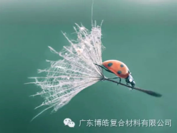 【博皓感悟】成功，要&ldquo;借力&rdquo;，不要&ldquo;盡力&rdquo;